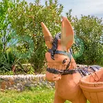 Harmony Hideaway Vakantiehuis