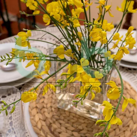 Harmony Hideaway Дом отдыха Dikella