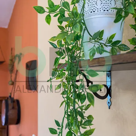Harmony Hideaway Дом отдыха Dikella
