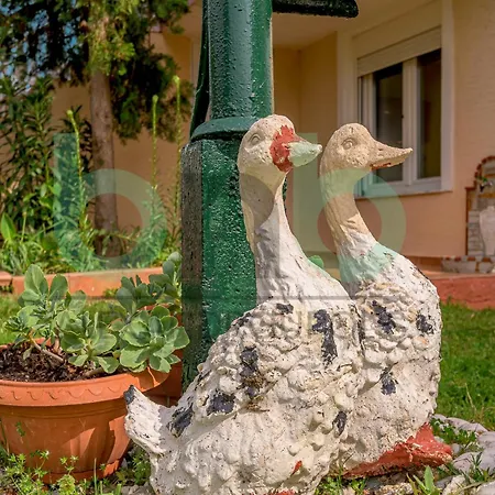 Holiday home Harmony Hideaway Dikella