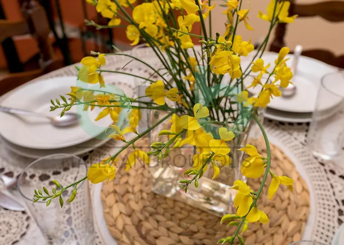 Harmony Hideaway Holiday home Dikella